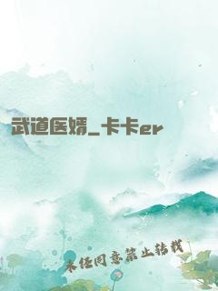 武道医婿