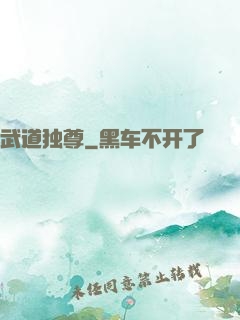 武道独尊