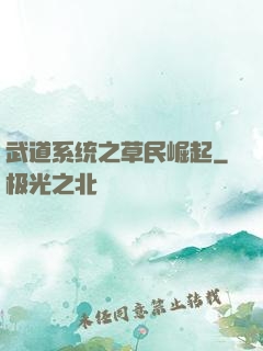 武道系统之草民崛起