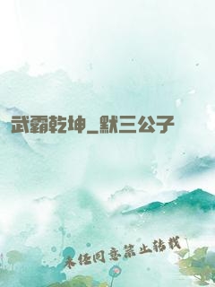 武霸乾坤