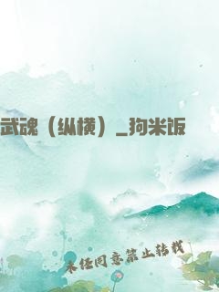 武魂（纵横）