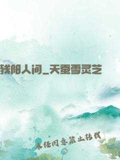 残阳人间
