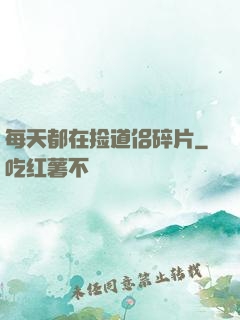每天都在捡道侣碎片