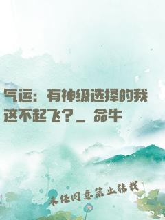 气运：有神级选择的我这不起飞？