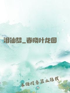 泪仙梦