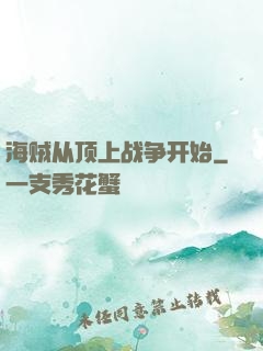 海贼从顶上战争开始