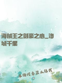 海贼王之剑豪之心