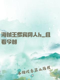 海贼王罗宾同人h