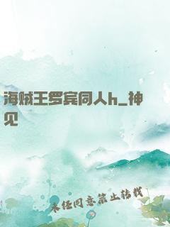 海贼王罗宾同人h