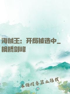 海贼王：开局被选中