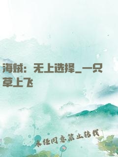 海贼：无上选择
