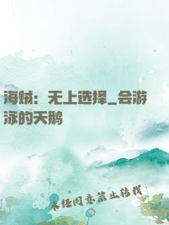 海贼：无上选择