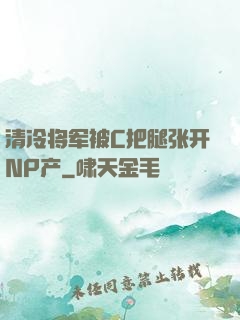 清冷将军被C把腿张开NP产
