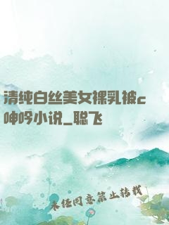 清纯白丝美女裸乳被c呻吟小说