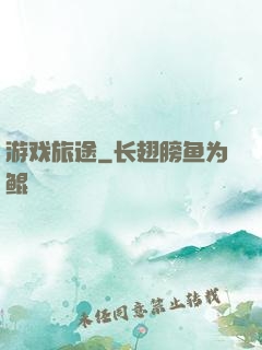 游戏旅途