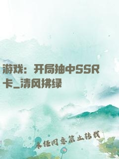 游戏：开局抽中SSR卡