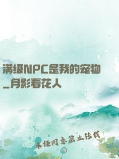 满级NPC是我的宠物