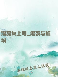 漂亮女上司