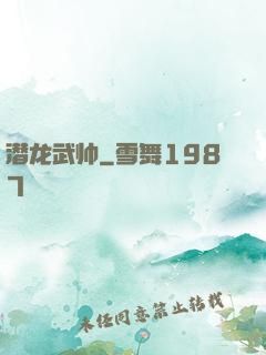 潜龙武帅