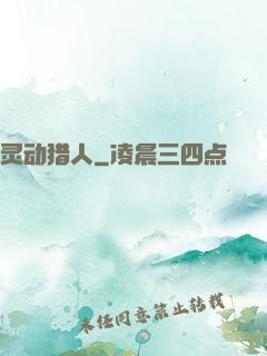 灵动猎人