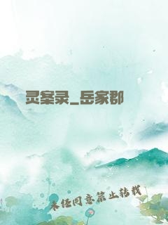 灵案录