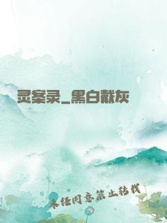 灵案录