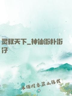 灵驭天下