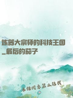 炼器大宗师的科技王国
