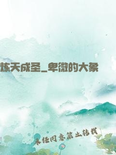 炼天成圣