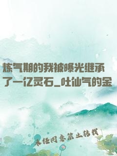 炼气期的我被曝光继承了一亿灵石