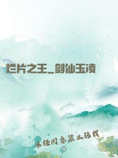 烂片之王