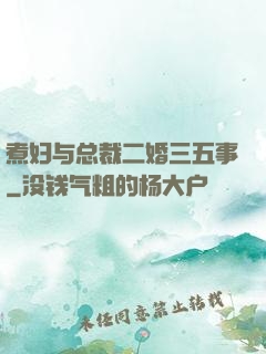 煮妇与总裁二婚三五事