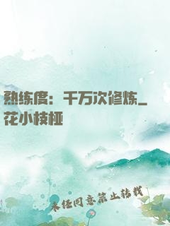 熟练度：千万次修炼