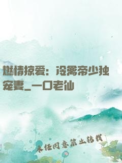 燃情掠爱：冷禽帝少独宠妻