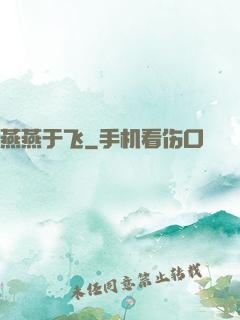 燕燕于飞