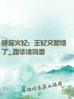 爆宠火妃：王妃又爬墙了