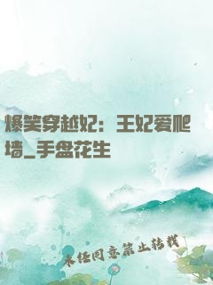 爆笑穿越妃：王妃爱爬墙