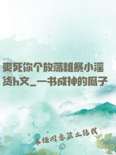 爽死你个放荡粗暴小淫货h文