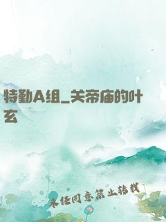 特勤A组