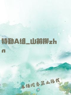 特勤A组