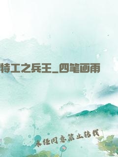 特工之兵王