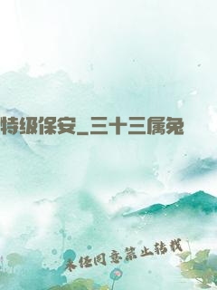 特级保安
