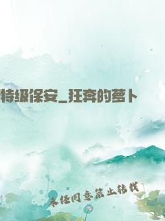 特级保安