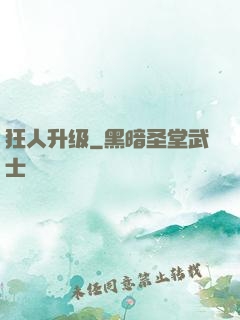 狂人升级