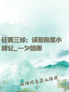 狂妻三嫁：误惹腹黑小相公