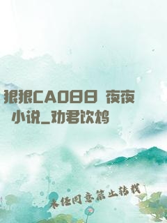 狠狠CAO日日穞夜夜穞小说