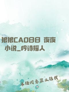 狠狠CAO日日穞夜夜穞小说