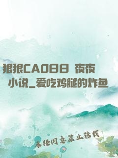 狠狠CAO日日穞夜夜穞小说