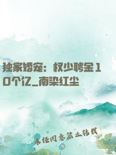 独家婚宠：权少聘金10个亿