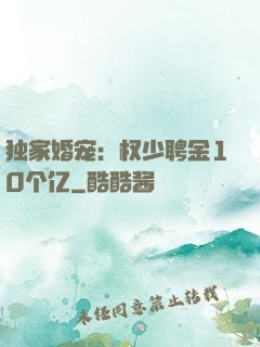 独家婚宠：权少聘金10个亿